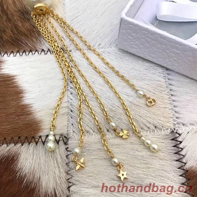 Dior Earrings CE4101