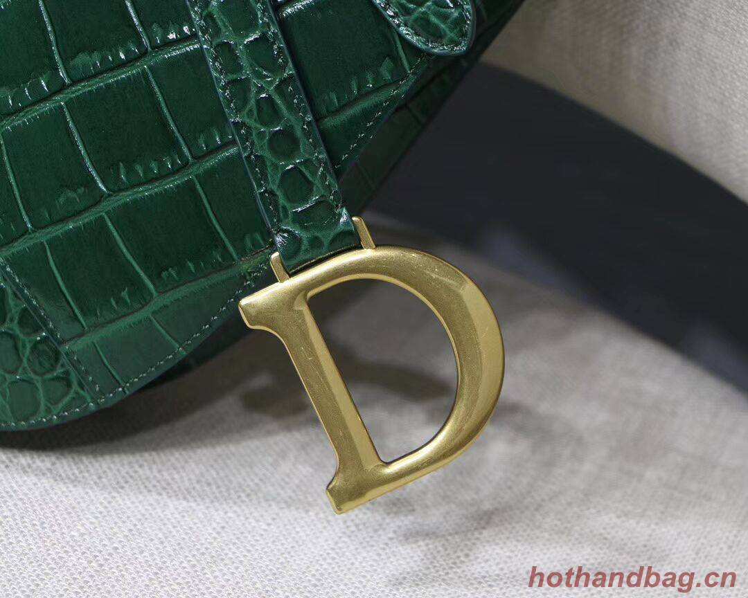Dior SADDLE SOFT CALFSKIN BAG C9045 green Dior SADDLE SOFT CALFSKIN BAG C9045 green