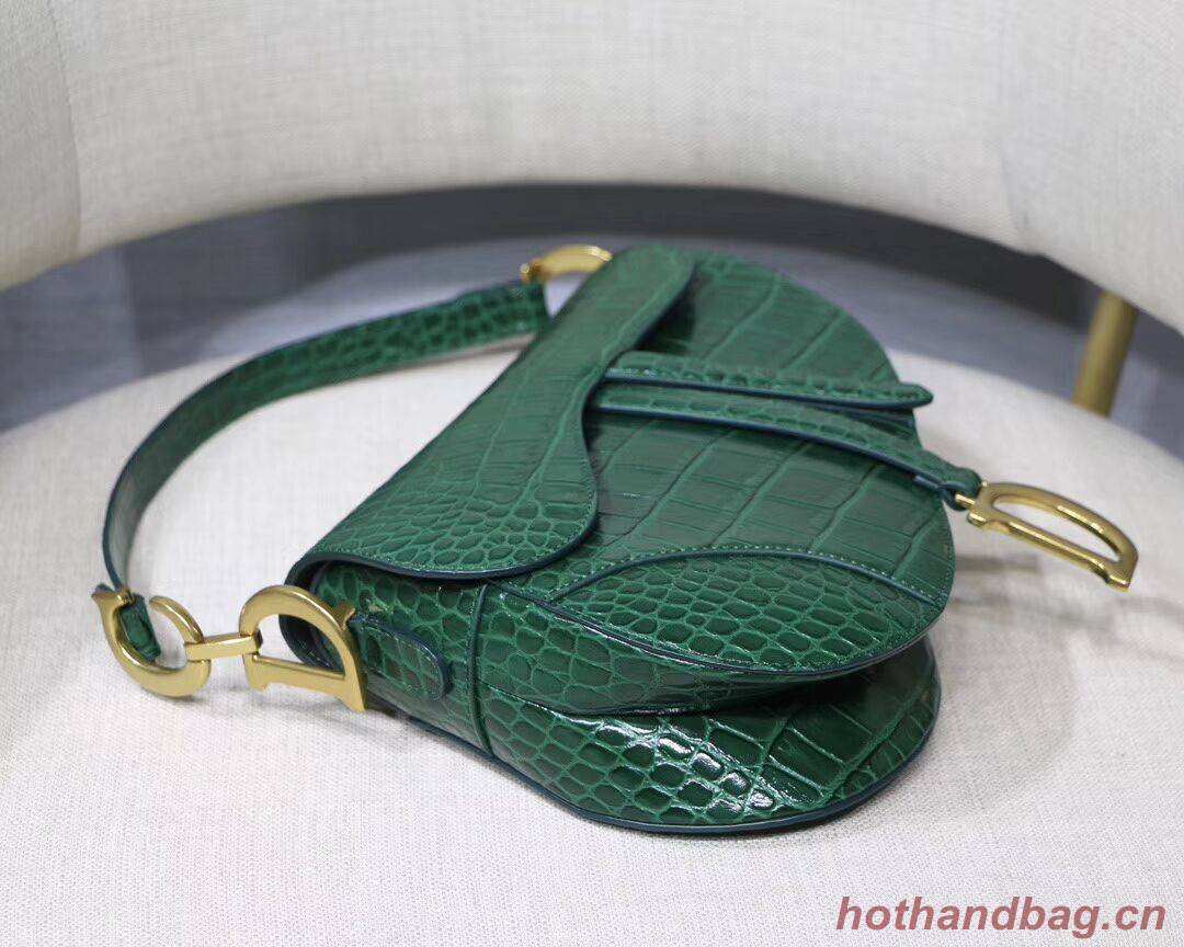Dior SADDLE SOFT CALFSKIN BAG C9045 green Dior SADDLE SOFT CALFSKIN BAG C9045 green