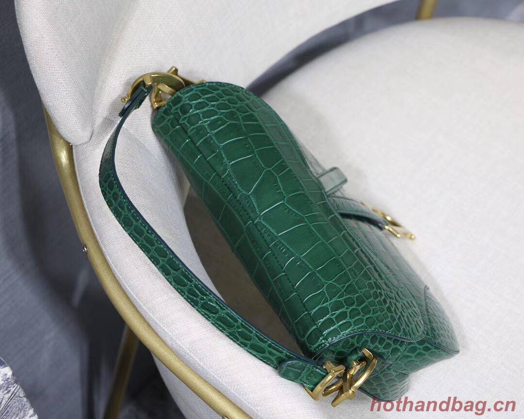 Dior SADDLE SOFT CALFSKIN BAG C9045 green Dior SADDLE SOFT CALFSKIN BAG C9045 green