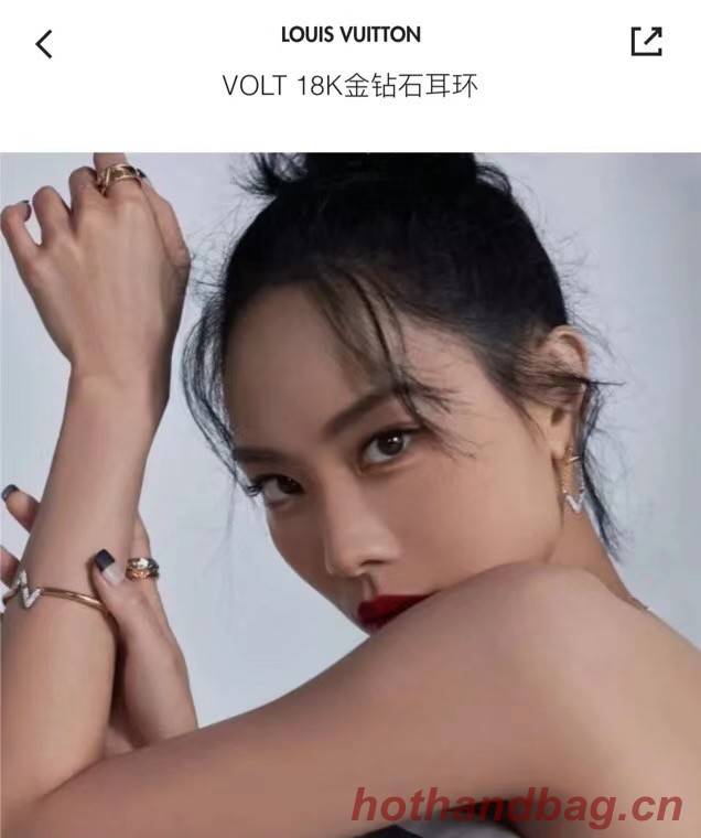 Louis Vuitton Earrings CE6088