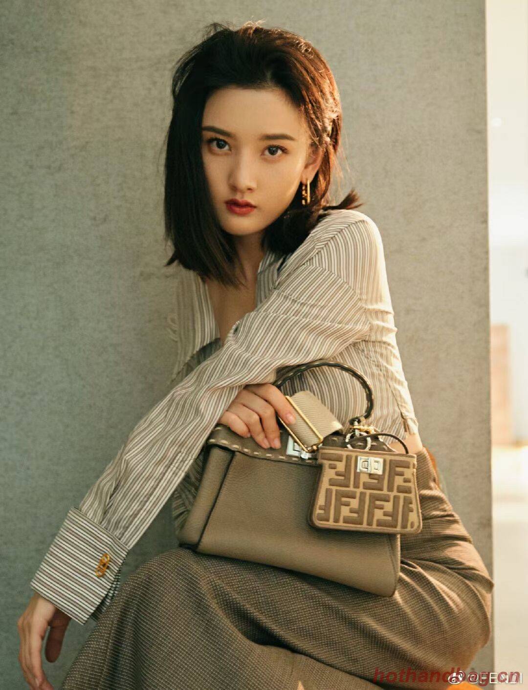 Fendi Peekaboo ISeeU Small leather bag F8636 gray Fendi Peekaboo ISeeU Small leather bag F8636 gray