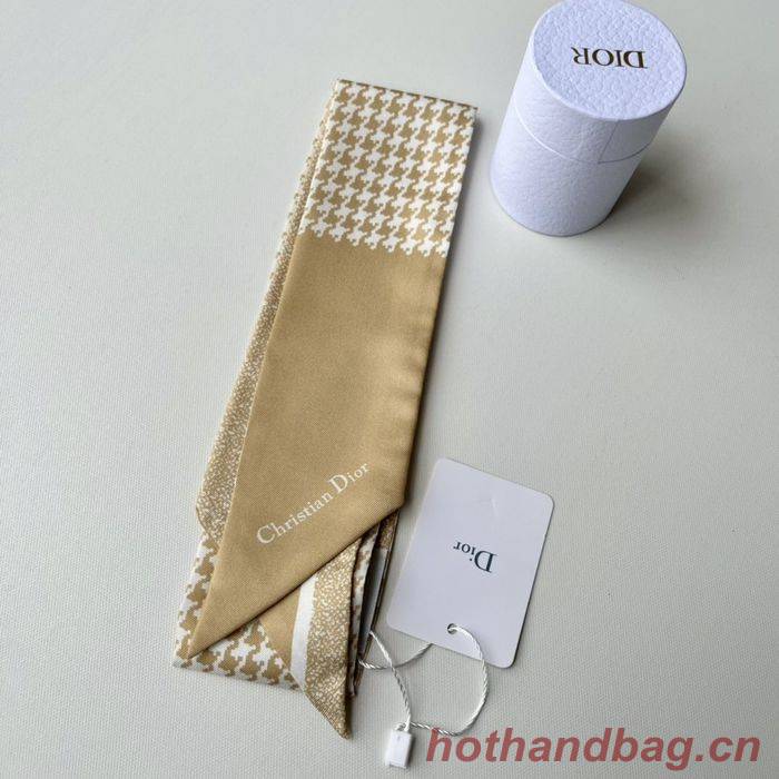 Dior Scarf DIS00011 Dior Scarf DIS00011