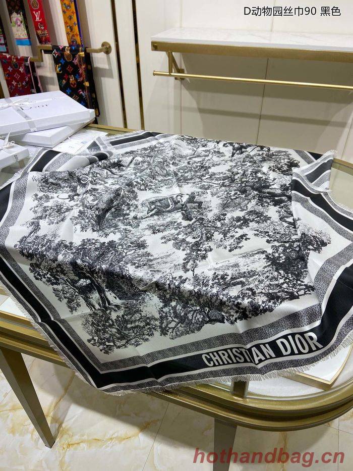 Dior Scarf DIS00026 Dior Scarf DIS00026