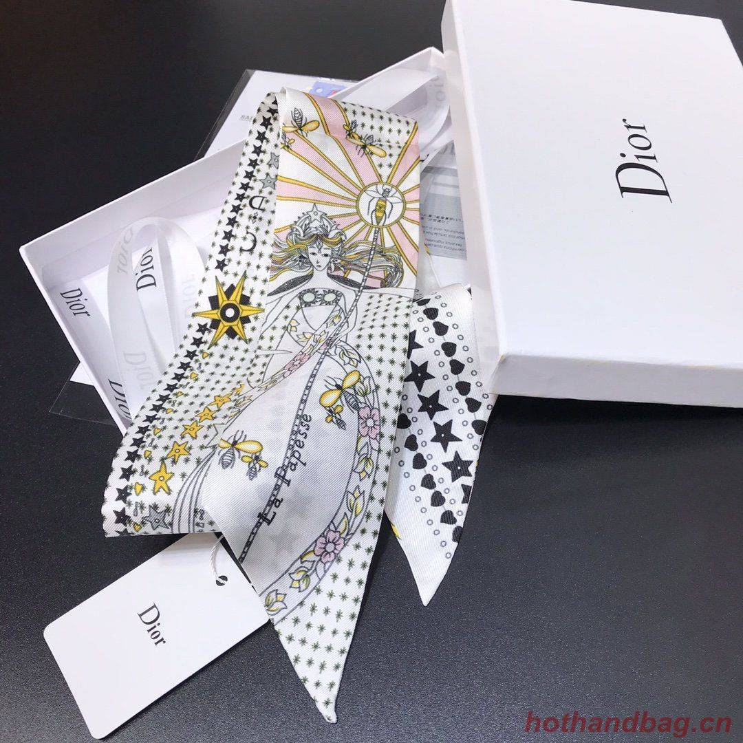 Dior Scarf DIC00007 Dior Scarf DIC00007