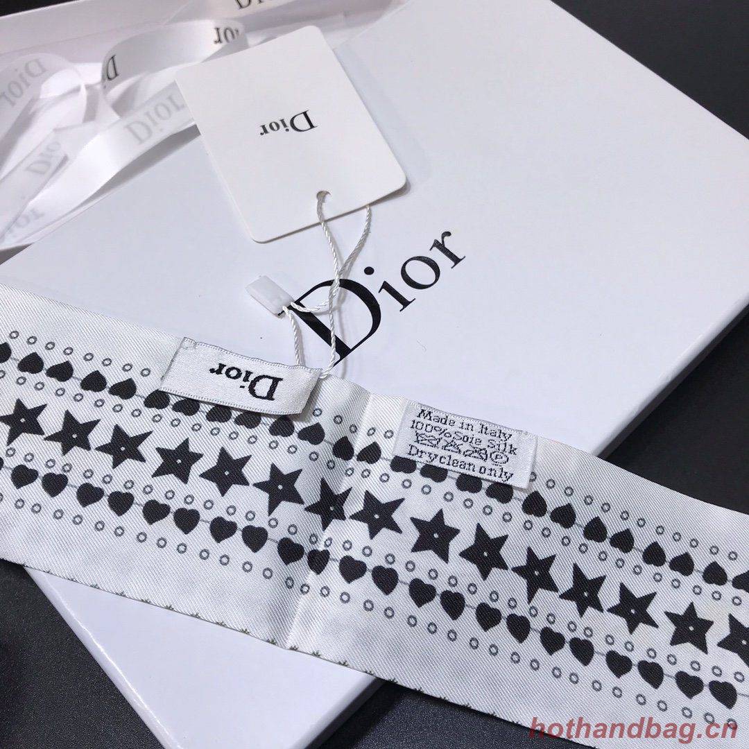 Dior Scarf DIC00007 Dior Scarf DIC00007
