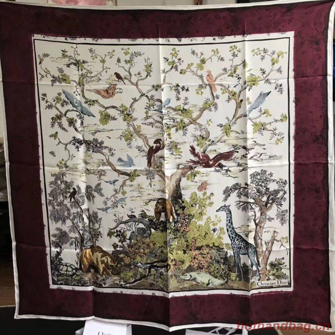 Dior Scarf DIC00054 Dior Scarf DIC00054