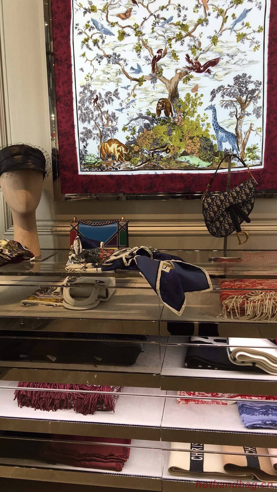 Dior Scarf DIC00054 Dior Scarf DIC00054