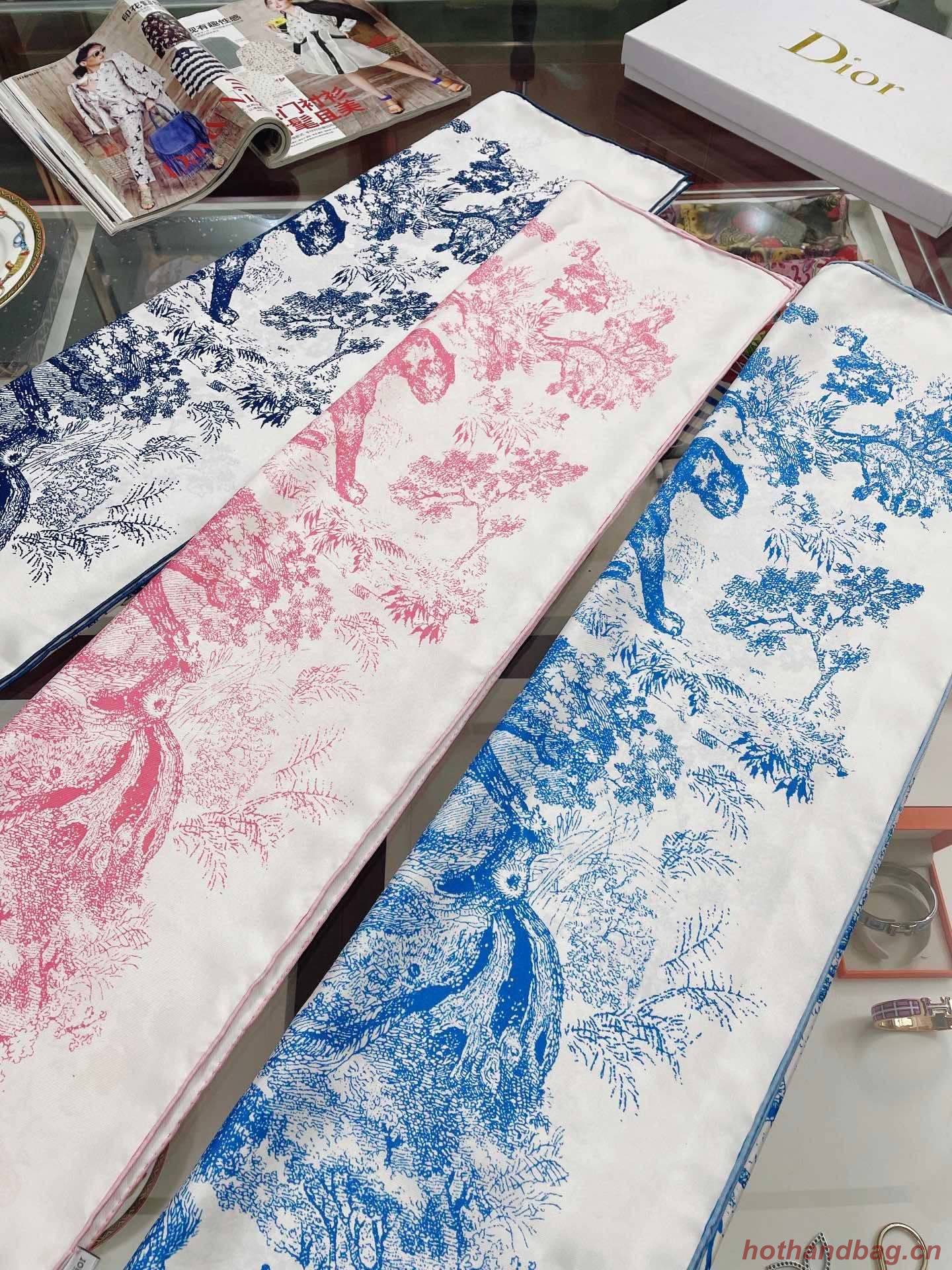 Dior Scarf DIC00062 Dior Scarf DIC00062