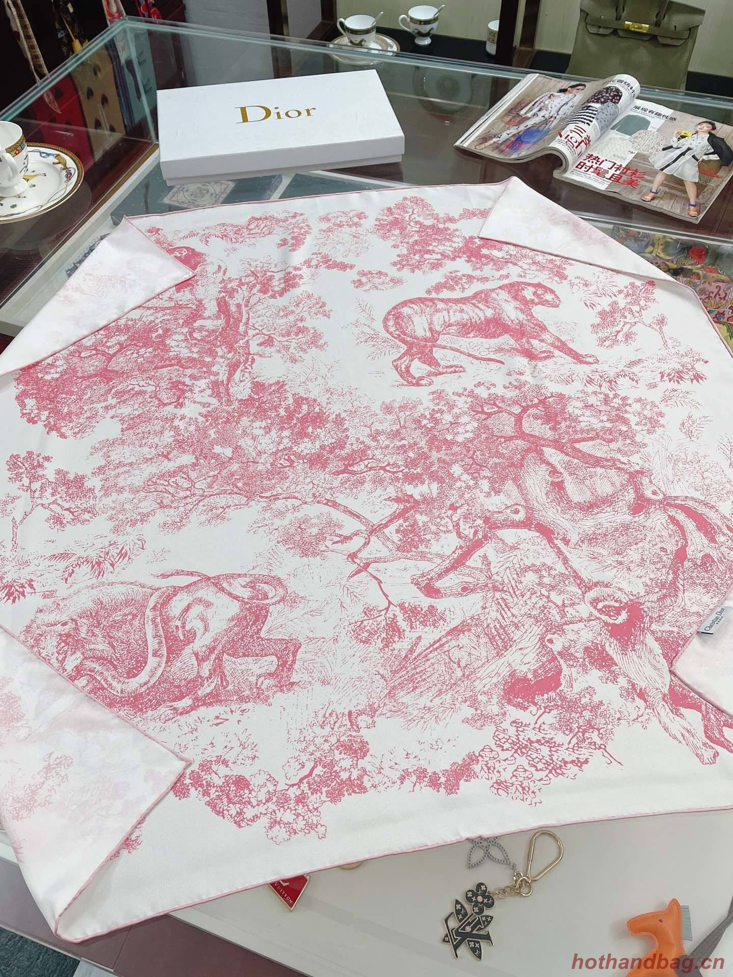 Dior Scarf DIC00062 Dior Scarf DIC00062