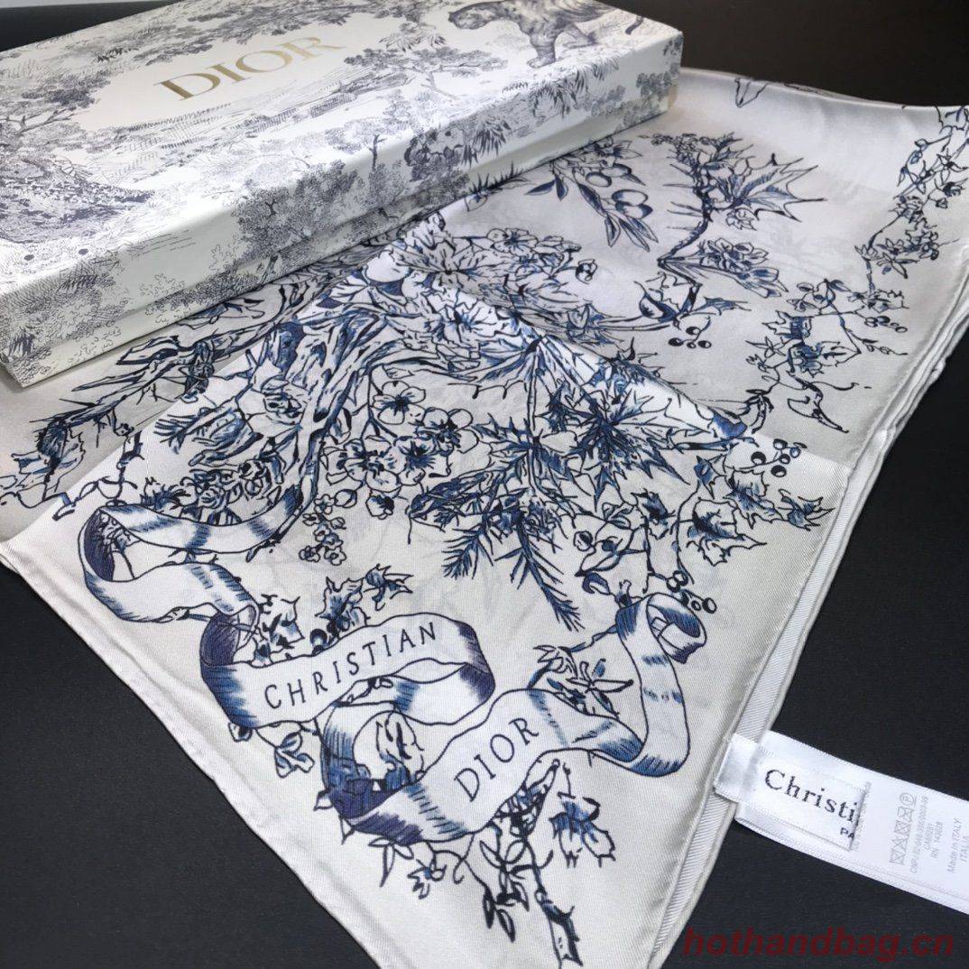 Dior Scarf DIC00071 Dior Scarf DIC00071