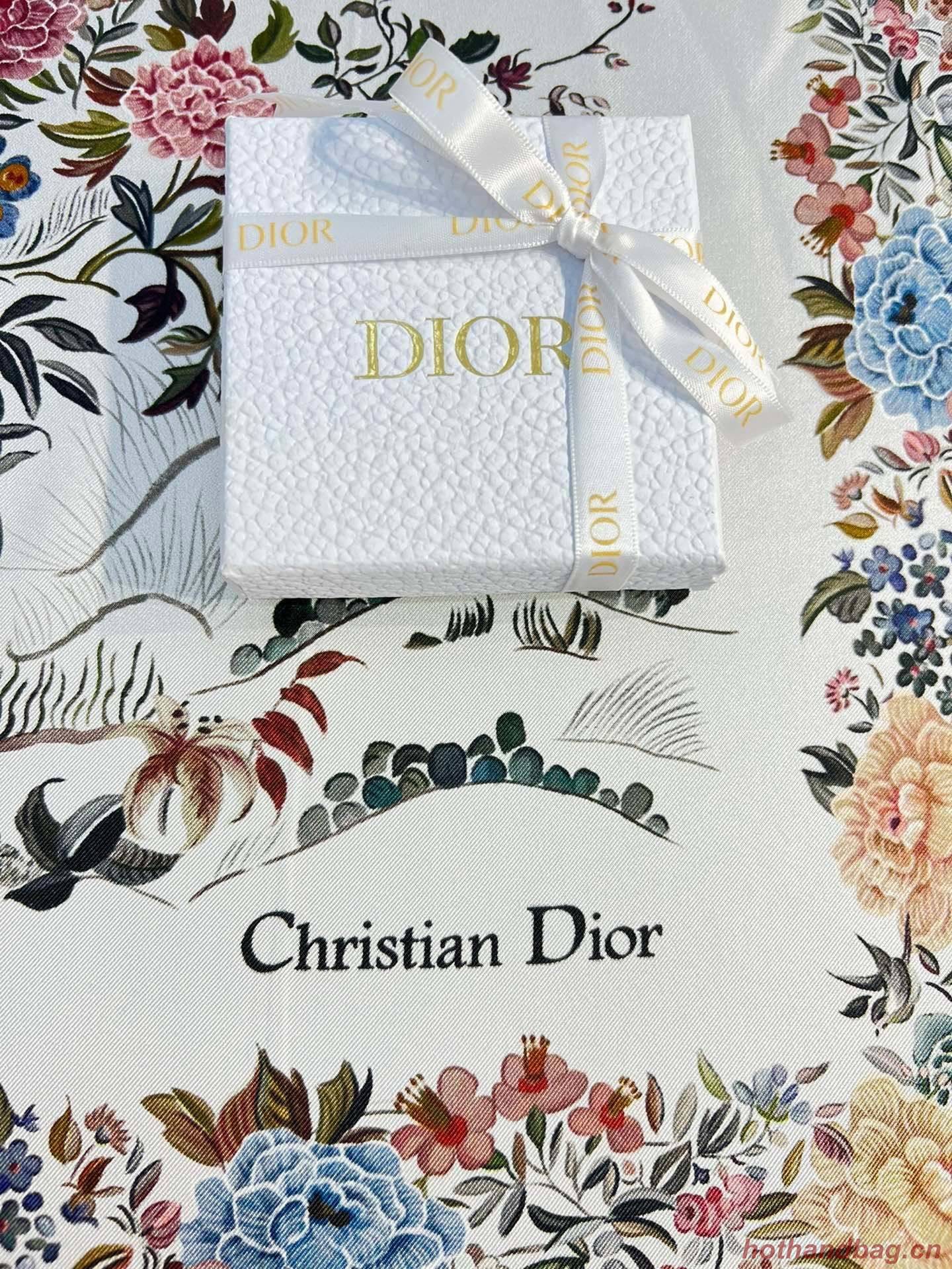 Dior Scarf DIC00077 Dior Scarf DIC00077