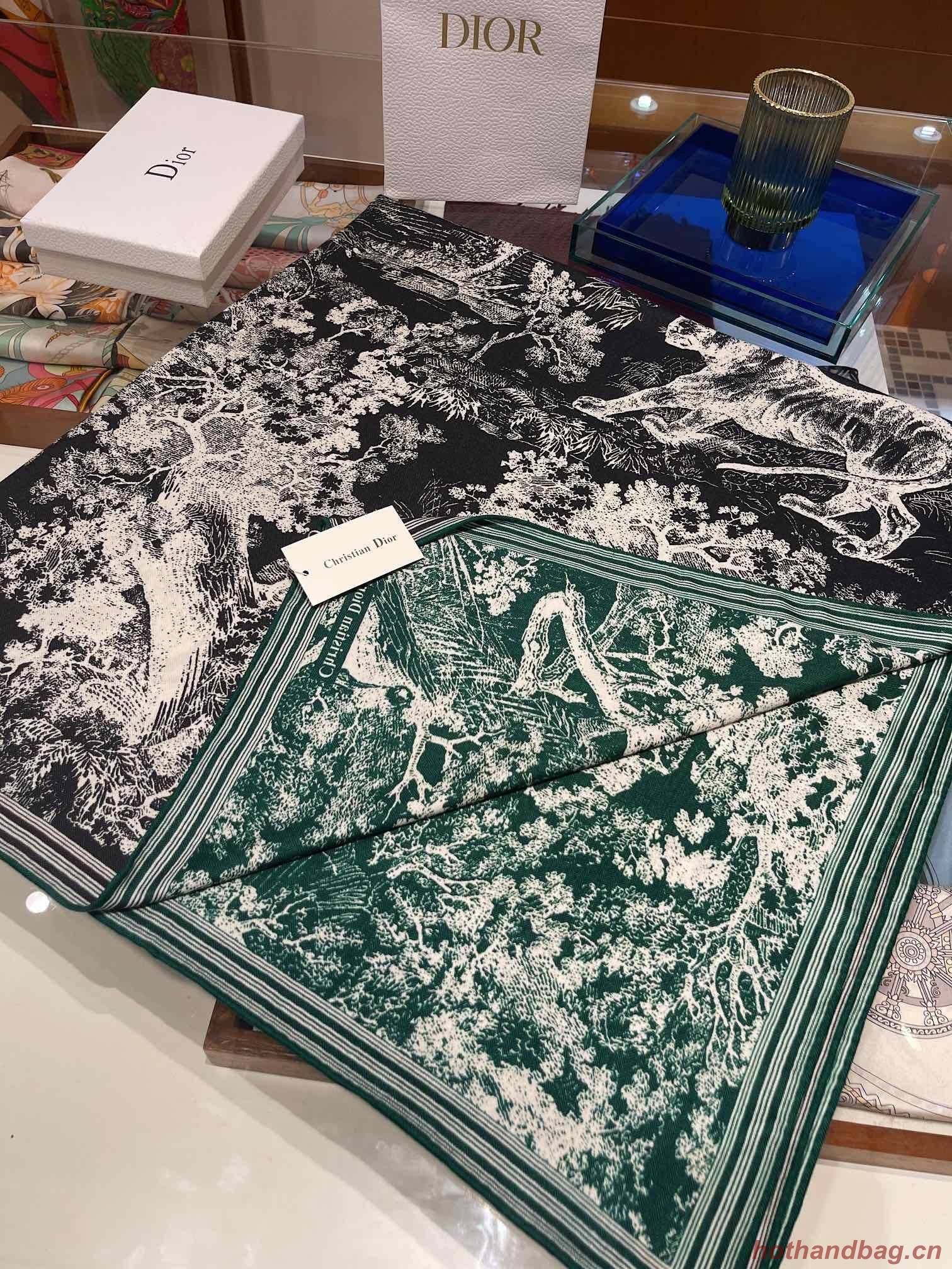 Dior Scarf DIC00147 Dior Scarf DIC00147