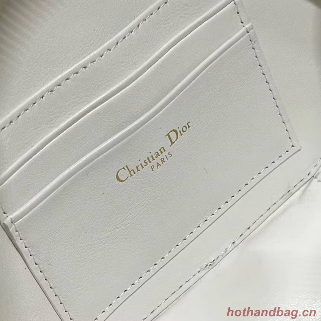 CD SIGNATURE OVAL CAMERA BAG Calfskin with Embossed CD Signature S2201UMFV Latte CD SIGNATURE OVAL CAMERA BAG Calfskin with Embossed CD Signature S2201UMFV Latte