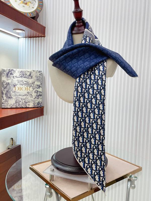 Dior Scarf DIC00403