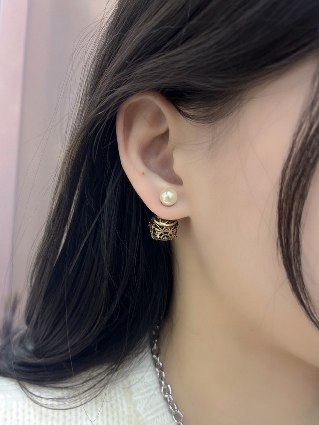 Dior Earring CE16310