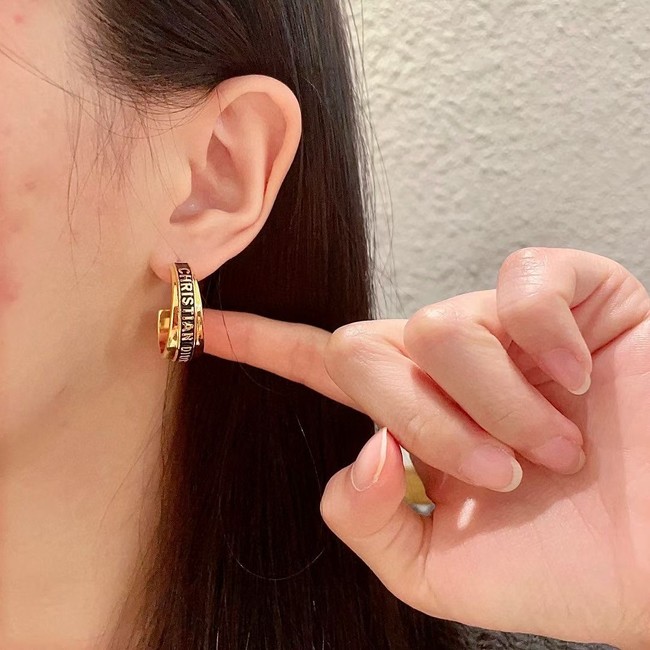 Dior Earring CE16543