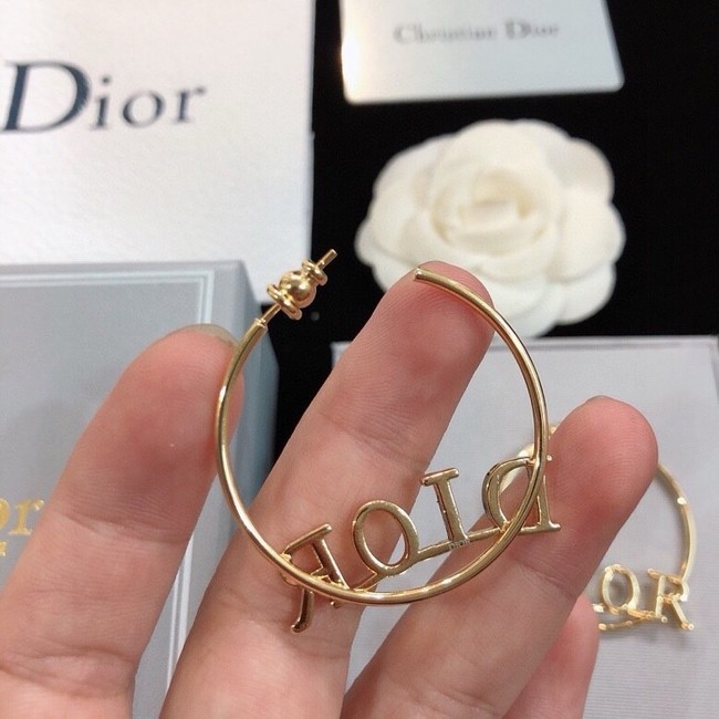 Dior Earring CE16719