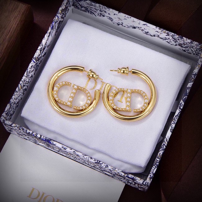 Dior Earring CE16724