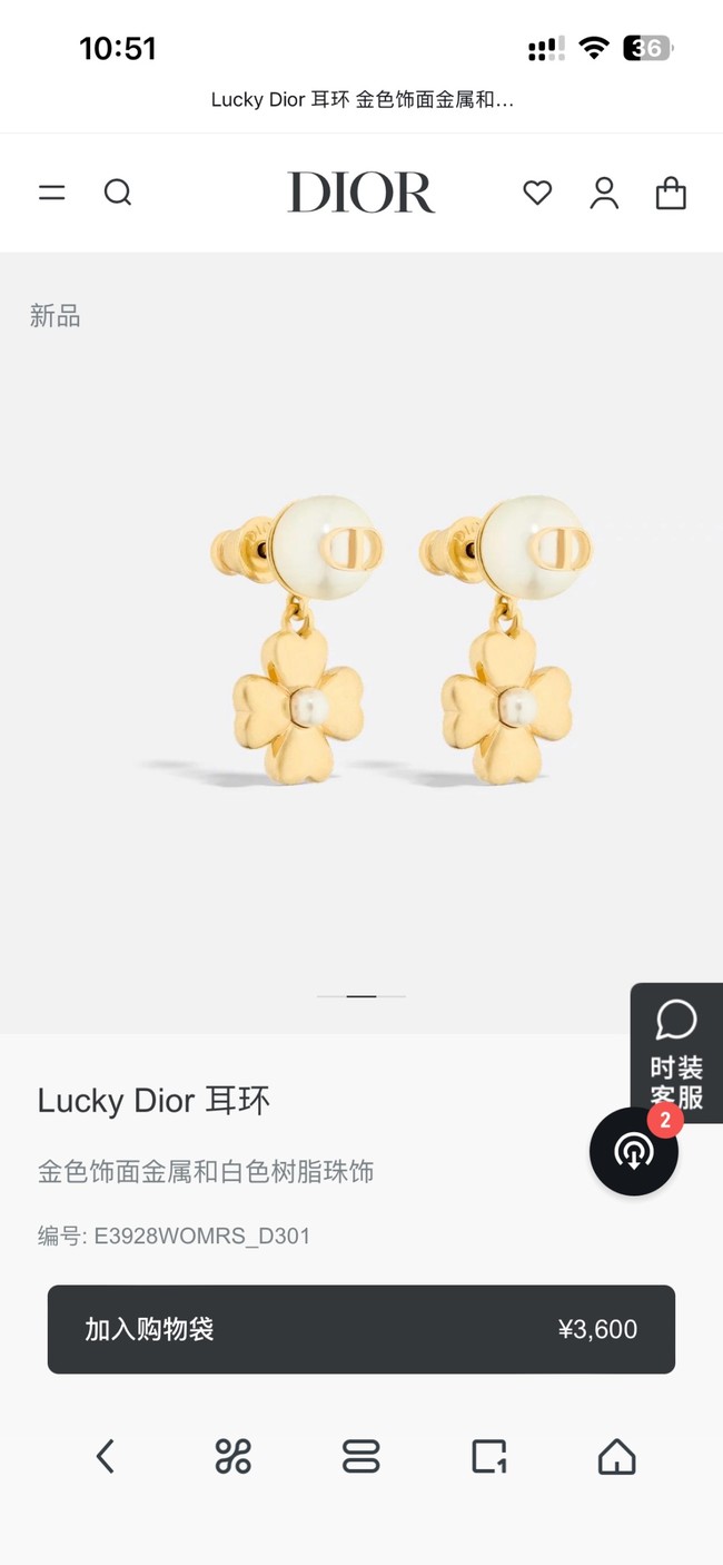 Dior Earring CE16728