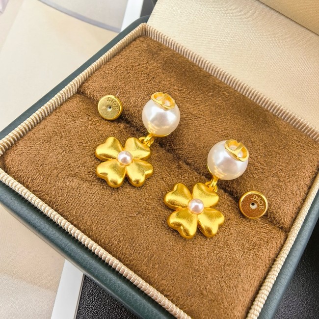 Dior Earring CE16728