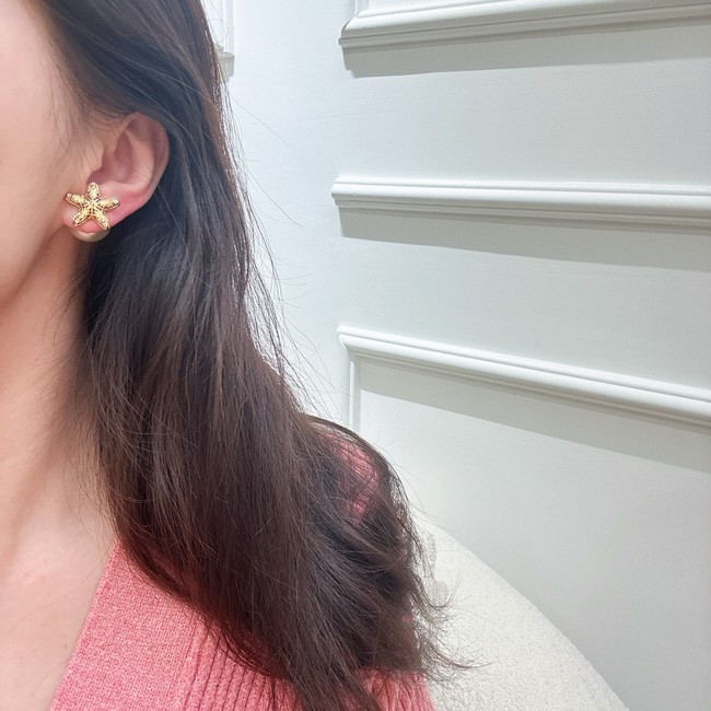 Dior Earring CE16731