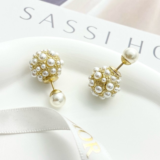 Dior Earring CE16841