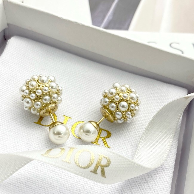 Dior Earring CE16841