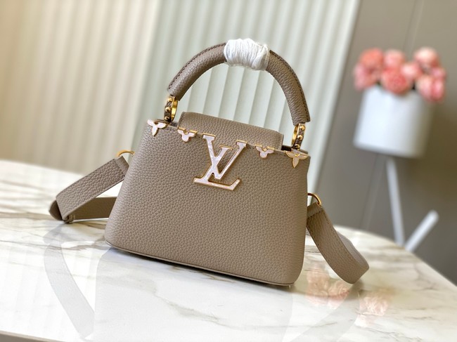 Louis Vuitton Capucines Mini M11341 gray