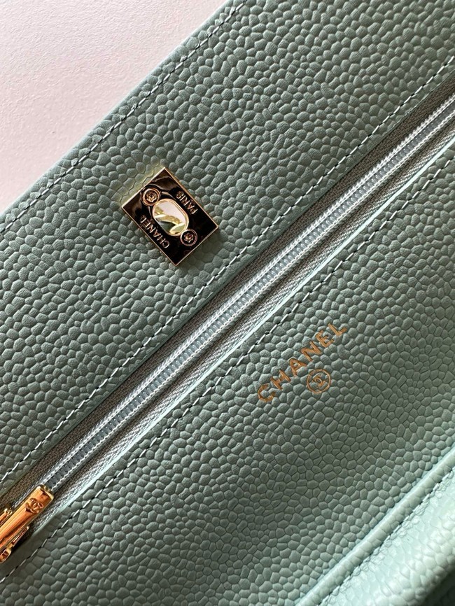 Chanel Classic Wallet On Chain Grained Calfskin AP4241-5