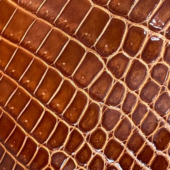 Hermes Kelly Shoulder Bags Nile crocodile leather KL3598-11