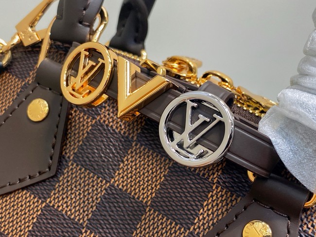 Louis Vuitton Damier Ebene coated canvas M14939