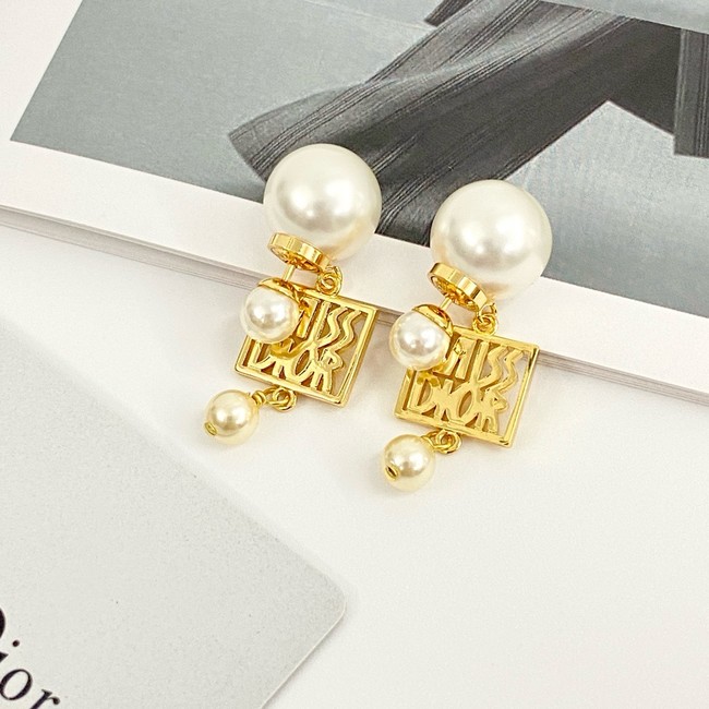Dior Earring CE16979