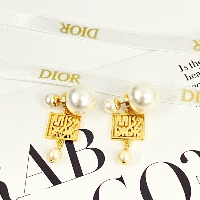 Dior Earring CE16979