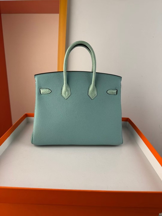 Hermes Birkin Bag Leather Nile crocodile&togo HBK2530-1