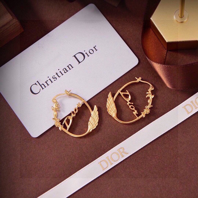 Dior Earring CE17014