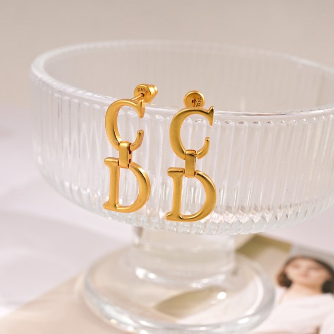 Dior Earrings CE80984