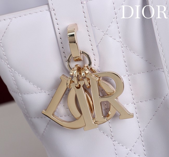 Small Dior Toujours Vertical Tote Bag M2835OSNW white