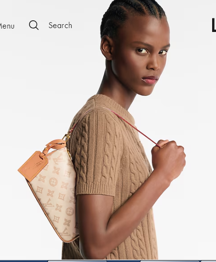 Louis Vuitton Pochette Accessoires M28320 Linen