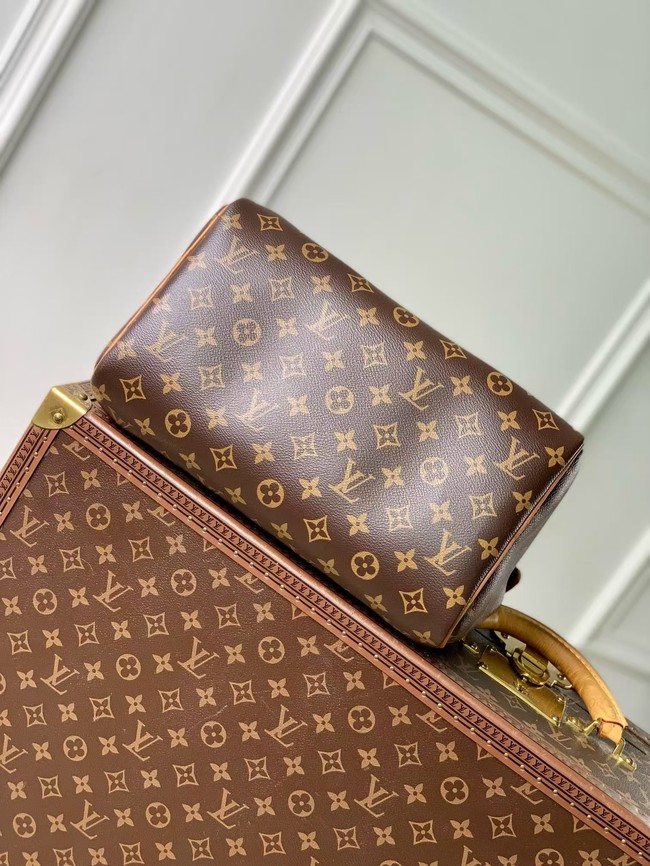 Louis Vuitton Speedy Soft 30 Boho N87212