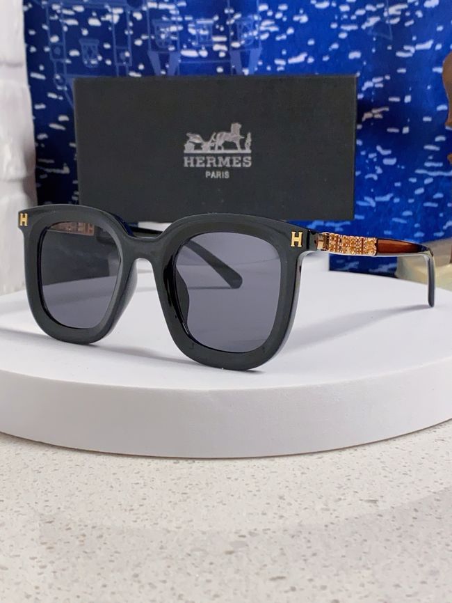 Hermes Sunglasses 821519-1