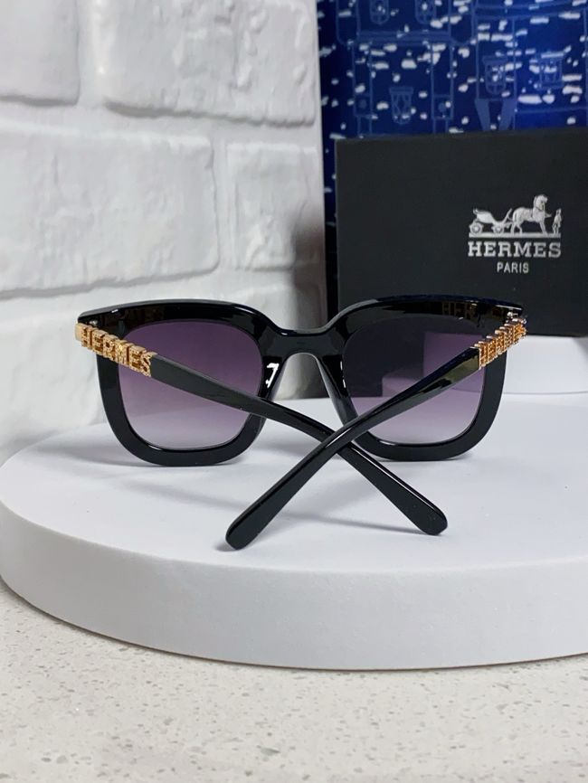 Hermes Sunglasses 821519-3