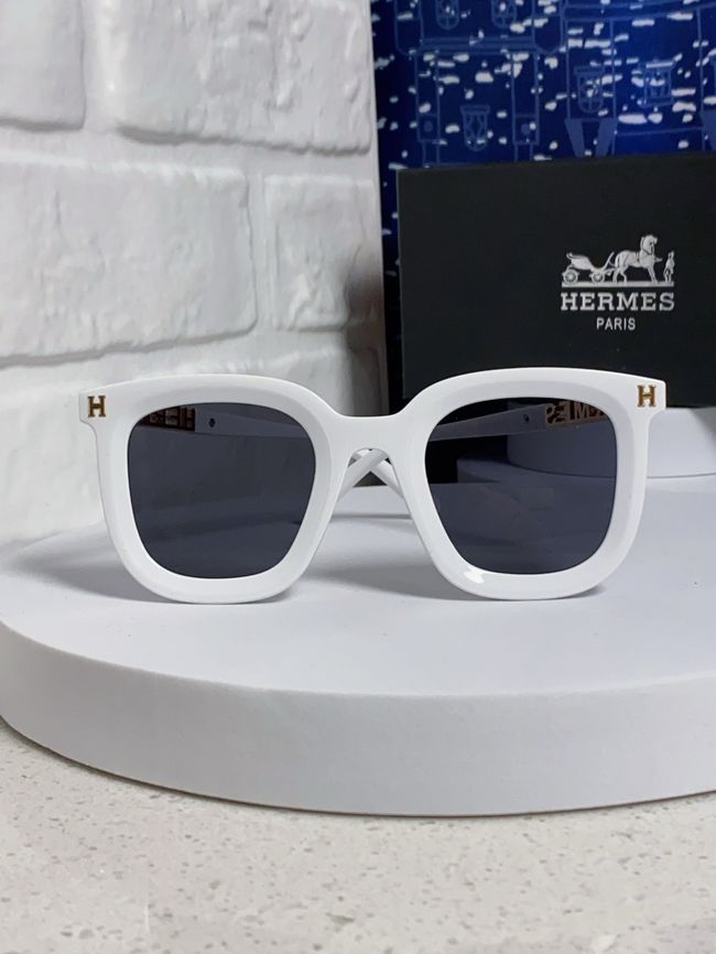 Hermes Sunglasses 821519-4 Hermes Sunglasses 821519-4