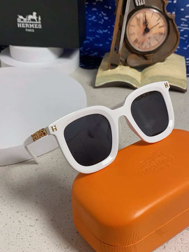 Hermes Sunglasses 821519-4 Hermes Sunglasses 821519-4