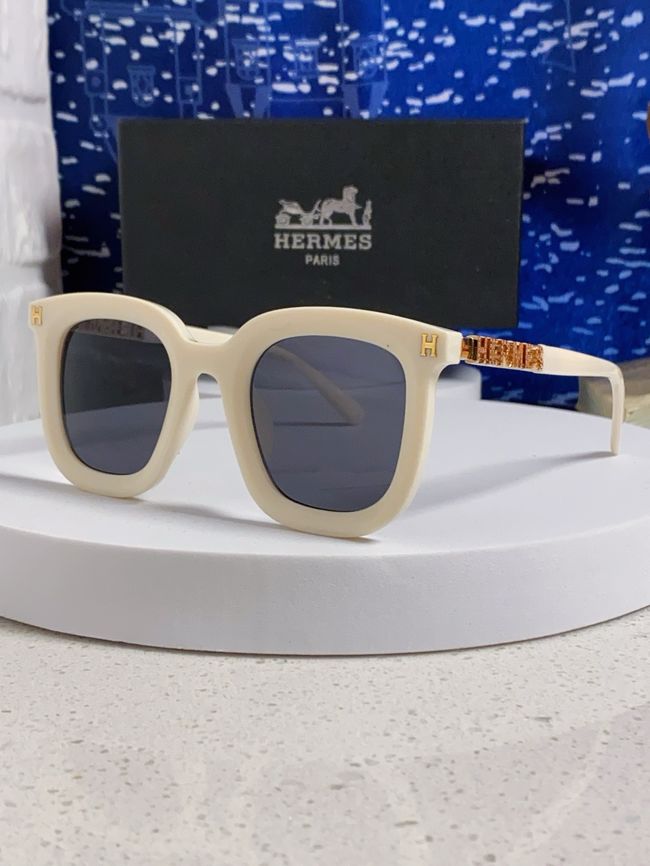 Hermes Sunglasses 821519-5
