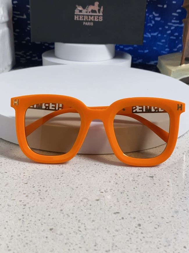 Hermes Sunglasses 821519-6 Hermes Sunglasses 821519-6