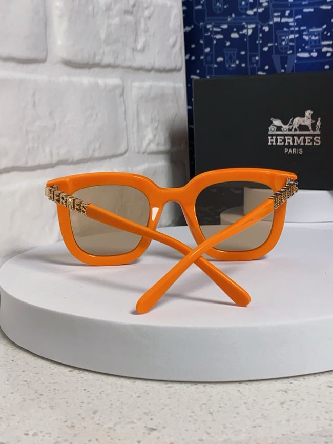 Hermes Sunglasses 821519-6 Hermes Sunglasses 821519-6