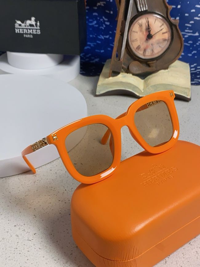 Hermes Sunglasses 821519-6 Hermes Sunglasses 821519-6