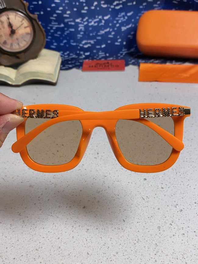 Hermes Sunglasses 821519-6 Hermes Sunglasses 821519-6
