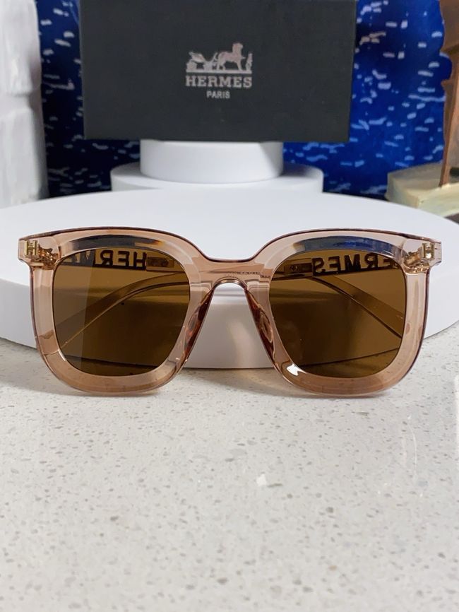 Hermes Sunglasses 821519-9